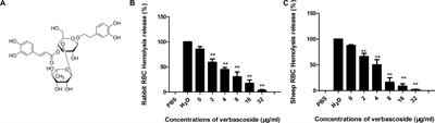 Verbascoside Protects Mice From Clostridial Gas Gangrene by Inhibiting the Activity of Alpha Toxin and Perfringolysin O